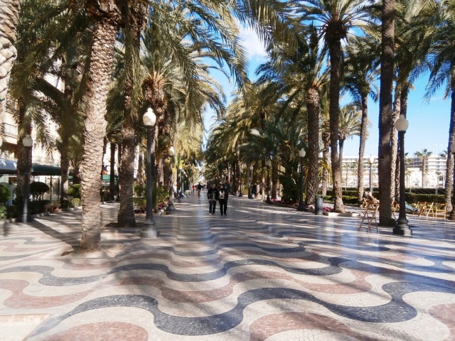 The palm lined Esplanade in downtown Alicante divides the harbor from several high end hotels, restaurants and apartment buildings.