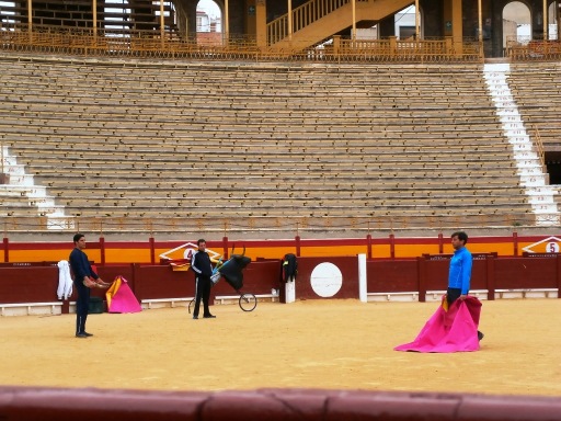 Bullfighting still takes place in Alicante.  The city runs a bullfighter school for young aspiring bullfighters.